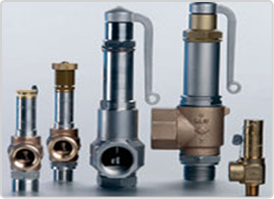 Safety Valves for Cryogenic Services